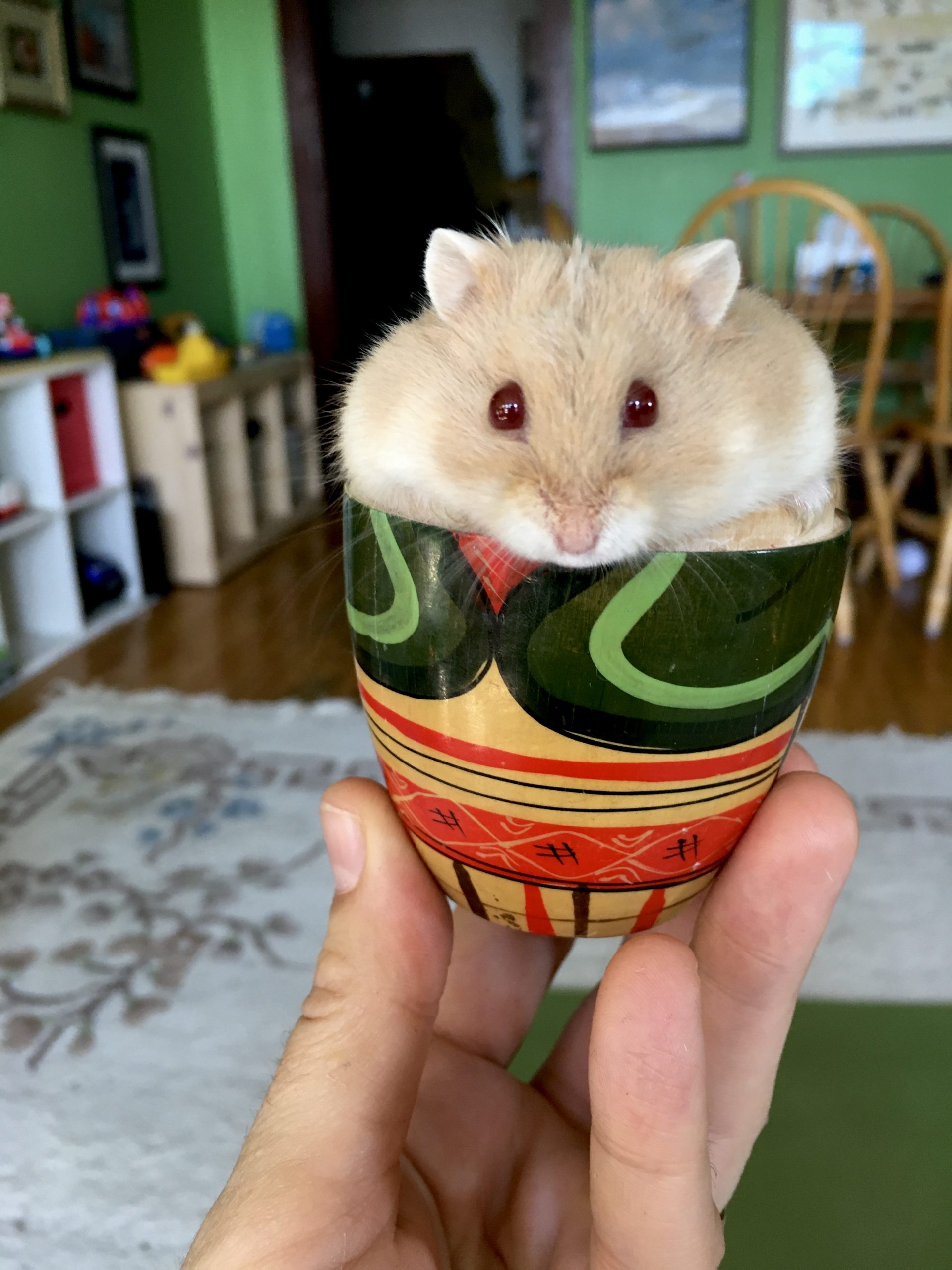 Pet Portraits, Big and Small